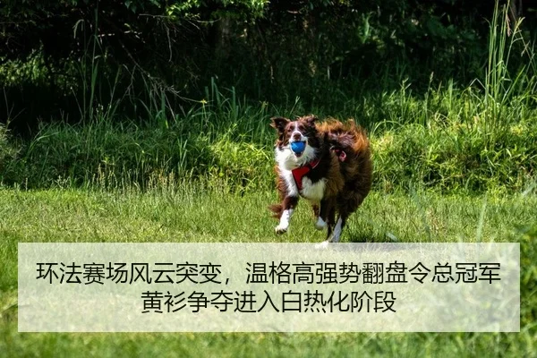 环法赛场风云突变，温格高强势翻盘令总冠军黄衫争夺进入白热化阶段